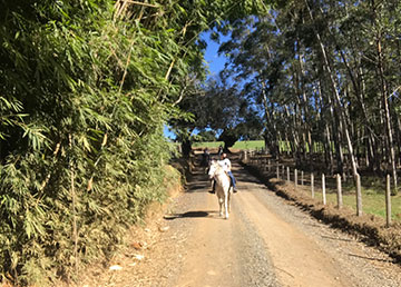 Centro de Treinamento Equestre de Extrema | Encantador de Cavalos
