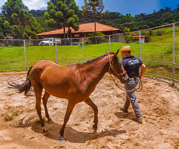 Centro de Treinamento Equestre de Extrema | Encantador de Cavalos