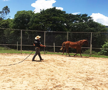 Centro de Treinamento Equestre de Extrema | Encantador de Cavalos