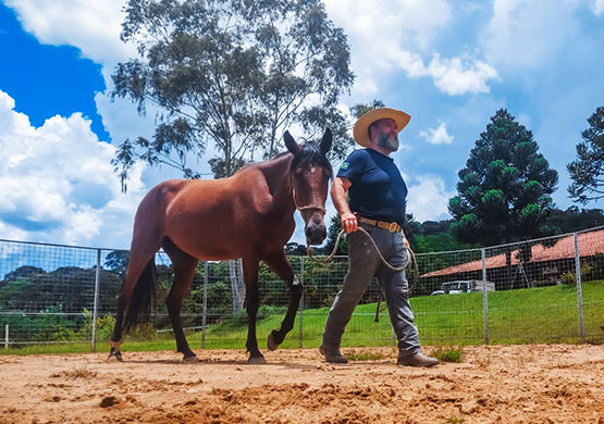 Centro de Treinamento Equestre de Extrema | Encantador de Cavalos